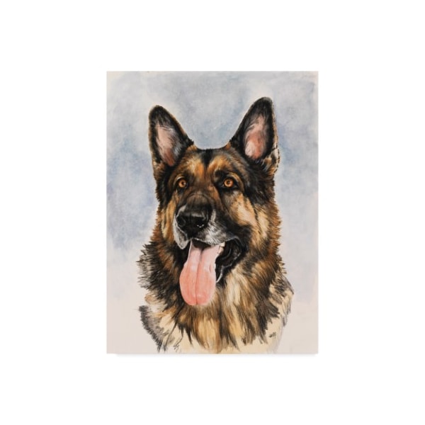 Trademark Fine Art Barbara Keith 'German Shepherd' Canvas Art, 35x47 - ALI25138-C3547GG