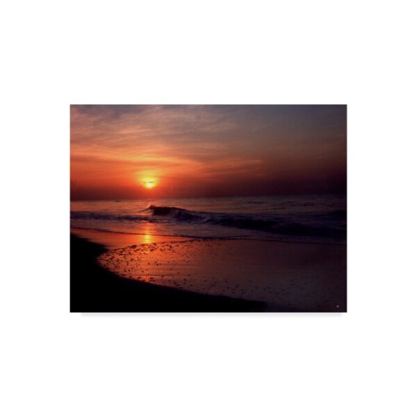 Trademark Fine Art Audrey 'Myrtle Beach Sc Sunrise' Canvas Art, 35x47 - ALI38654-C3547GG