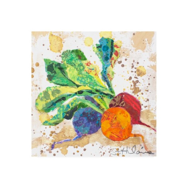 Trademark Fine Art Elizabeth St. Hilaire 'Veggie Splash I' Canvas Art, 14x14 - WAG14469-C1414GG