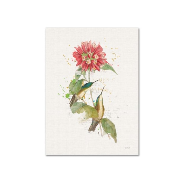 Trademark Fine Art Katie Pertiet 'Colorful Hummingbirds I' Canvas Art, 14x19 - WAP01416-C1419GG