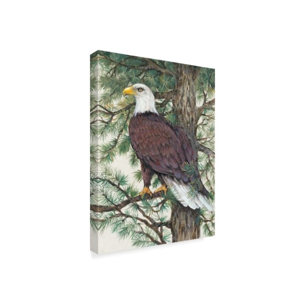 Trademark Fine Art Tim Otoole 'Eagle In The Pine' Canvas Art, 18x24 - WAG05630-C1824GG