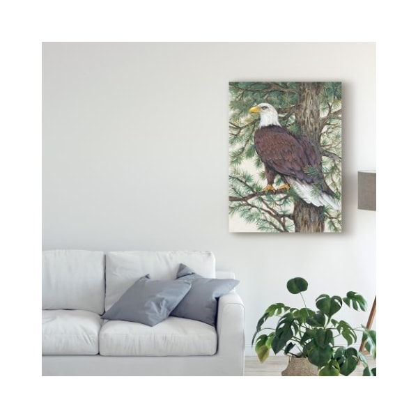 Trademark Fine Art Tim Otoole 'Eagle In The Pine' Canvas Art, 18x24 - WAG05630-C1824GG