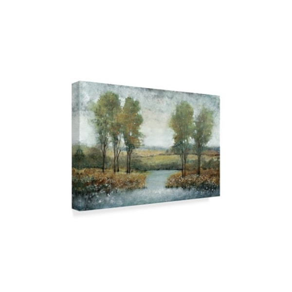 Trademark Fine Art Tim Otoole 'Stream Side Ii' Canvas Art, 30x47 - WAG01104-C3047GG