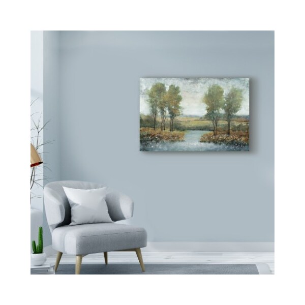 Trademark Fine Art Tim Otoole 'Stream Side Ii' Canvas Art, 30x47 - WAG01104-C3047GG
