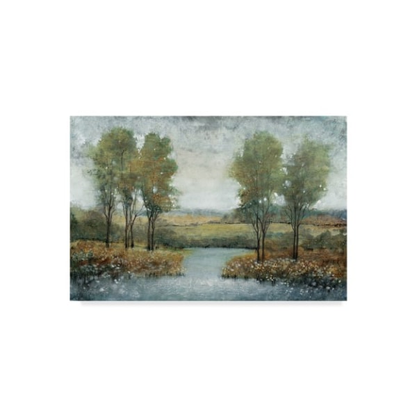 Trademark Fine Art Tim Otoole 'Stream Side Ii' Canvas Art, 30x47 - WAG01104-C3047GG