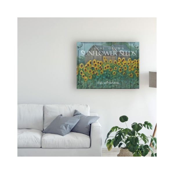 Trademark Fine Art Marnie Bourque 'Sunflower Seeds' Canvas Art, 24x32 - ALI44470-C2432GG