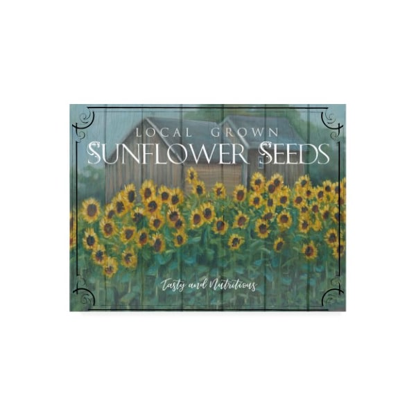 Trademark Fine Art Marnie Bourque 'Sunflower Seeds' Canvas Art, 24x32 - ALI44470-C2432GG