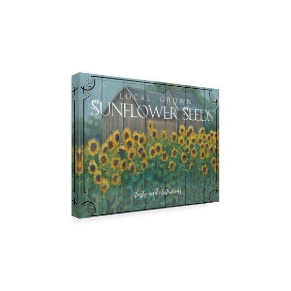 Trademark Fine Art Marnie Bourque 'Sunflower Seeds' Canvas Art, 24x32 - ALI44470-C2432GG