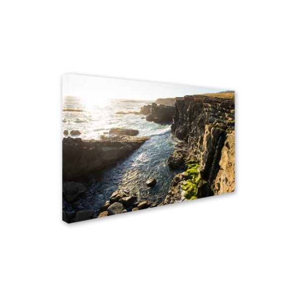 Trademark Fine Art Lance Kuehne 'Wild Sonoma Coast' Canvas Art, 30x47 - ALI12565-C3047GG