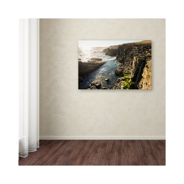 Trademark Fine Art Lance Kuehne 'Wild Sonoma Coast' Canvas Art, 30x47 - ALI12565-C3047GG