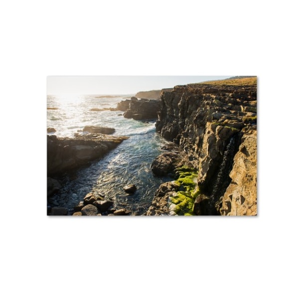 Trademark Fine Art Lance Kuehne 'Wild Sonoma Coast' Canvas Art, 30x47 - ALI12565-C3047GG