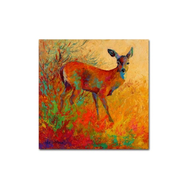 Trademark Fine Art Marion Rose 'Doe' Canvas Art, 18x18 - ALI7720-C1818GG