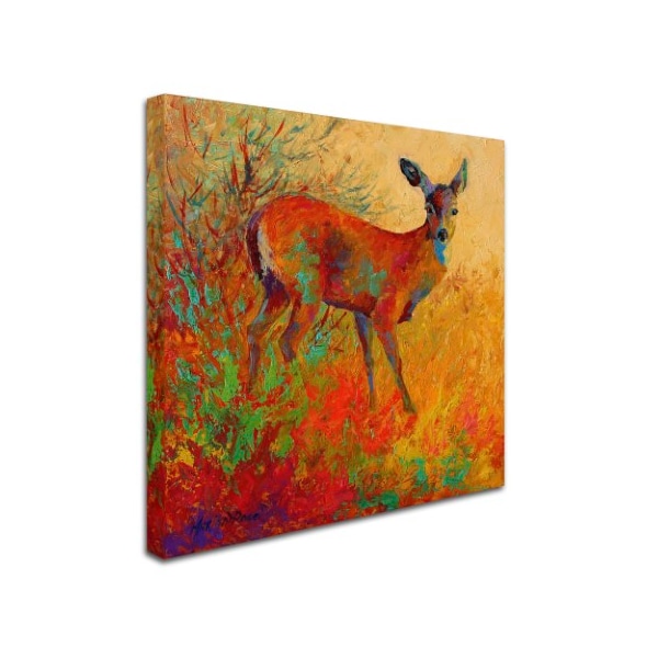 Trademark Fine Art Marion Rose 'Doe' Canvas Art, 18x18 - ALI7720-C1818GG