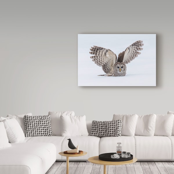 Trademark Fine Art Salman A 'How Do You Like My Wings' Canvas Art, 22x32 - 1X06921-C2232GG