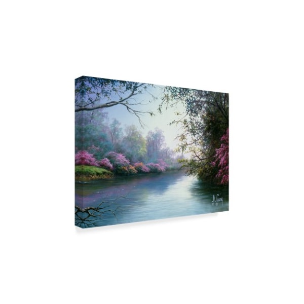Trademark Fine Art Anthony Casay 'Garden Scene 11' Canvas Art, 18x24 - ALI20239-C1824GG