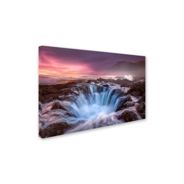 Trademark Fine Art Moises Levy 'Genesis' Canvas Art, 30x47 - ALI6036-C3047GG