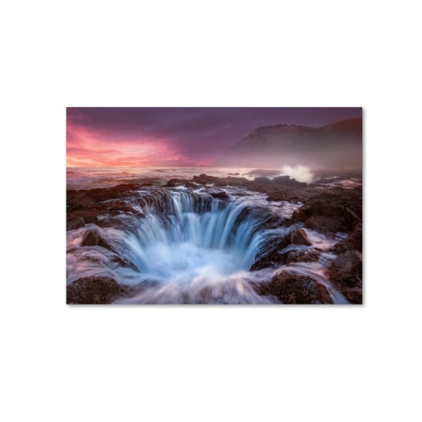 Trademark Fine Art Moises Levy 'Genesis' Canvas Art, 30x47 - ALI6036-C3047GG