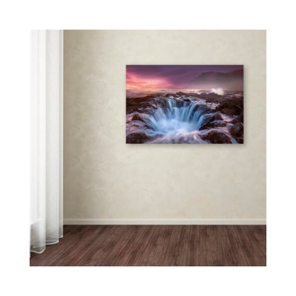 Trademark Fine Art Moises Levy 'Genesis' Canvas Art, 30x47 - ALI6036-C3047GG