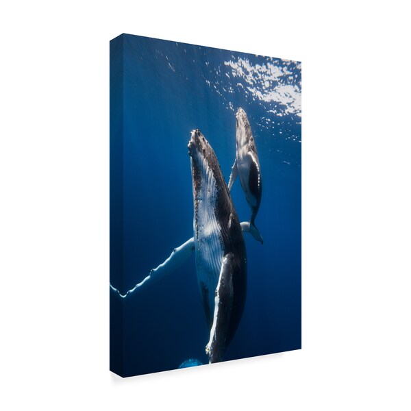Trademark Fine Art Barathieu Gabriel 'Back To The Surface' Canvas Art, 16x24 - 1X07968-C1624GG