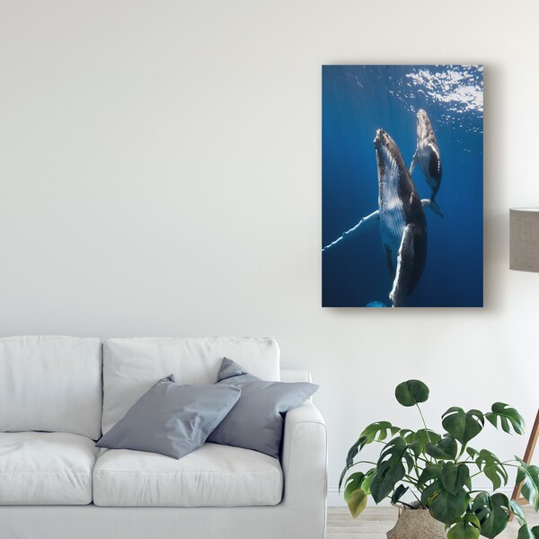 Trademark Fine Art Barathieu Gabriel 'Back To The Surface' Canvas Art, 16x24 - 1X07968-C1624GG