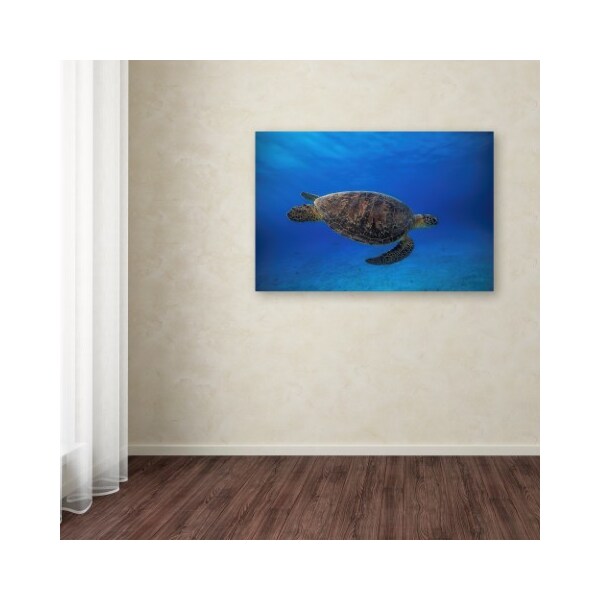 Trademark Fine Art Barathieu Gabriel 'Green Turtle In The Blue' Canvas Art, 12x19 - 1X03927-C1219GG
