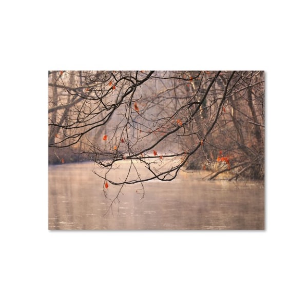 Trademark Fine Art Philippe Sainte-Laudy 'Skylight' Canvas Art, 16x24 - PSL0182-C1624GG