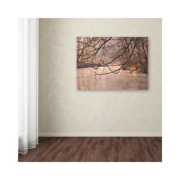 Trademark Fine Art Philippe Sainte-Laudy 'Skylight' Canvas Art, 16x24 - PSL0182-C1624GG