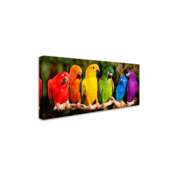 Trademark Fine Art Mike Jones Photo 'Rainbow Parrots' Canvas Art, 12x24 - ALI17786-C1224GG