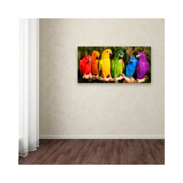 Trademark Fine Art Mike Jones Photo 'Rainbow Parrots' Canvas Art, 12x24 - ALI17786-C1224GG