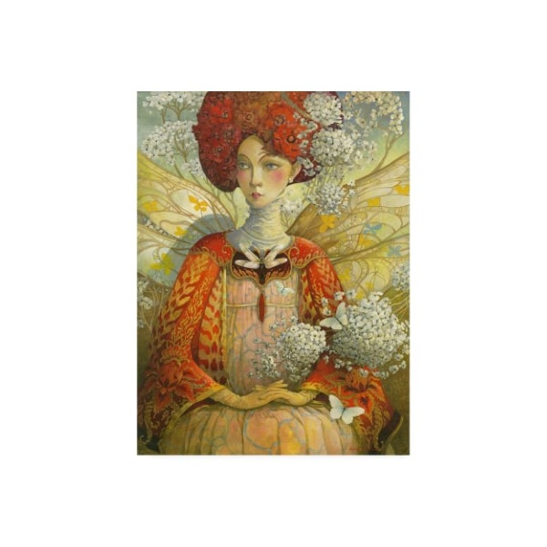Trademark Fine Art David Galchutt 'The Distracted Fairy' Canvas Art, 35x47 - ALI47011-C3547GG