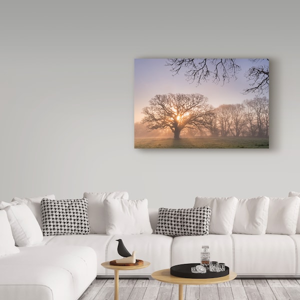 Trademark Fine Art Adam Burton 'Morning Glow' Canvas Art, 12x19 - ALI20175-C1219GG