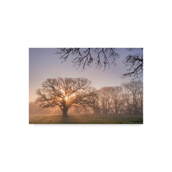 Trademark Fine Art Adam Burton 'Morning Glow' Canvas Art, 12x19 - ALI20175-C1219GG