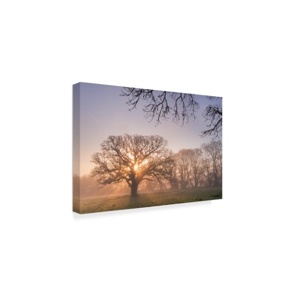 Trademark Fine Art Adam Burton 'Morning Glow' Canvas Art, 12x19 - ALI20175-C1219GG