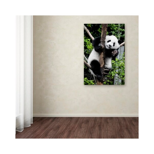 Trademark Fine Art Philippe Hugonnard 'Giant Panda II' Canvas Art, 12x19 - PH0378-C1219GG
