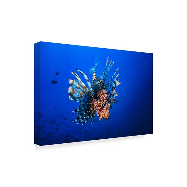 Trademark Fine Art Barathieu Gabriel 'Lionfish' Canvas Art, 12x19 - 1X05853-C1219GG