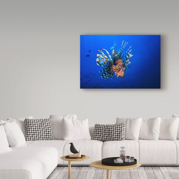 Trademark Fine Art Barathieu Gabriel 'Lionfish' Canvas Art, 12x19 - 1X05853-C1219GG