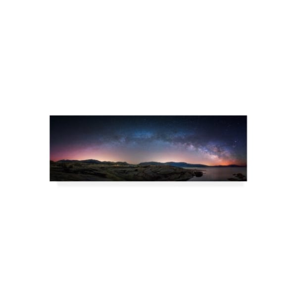 Trademark Fine Art Darren White Photography 'Late Night Milky Way Show copy' Canvas Art, 6x19 - ALI46532-C619GG