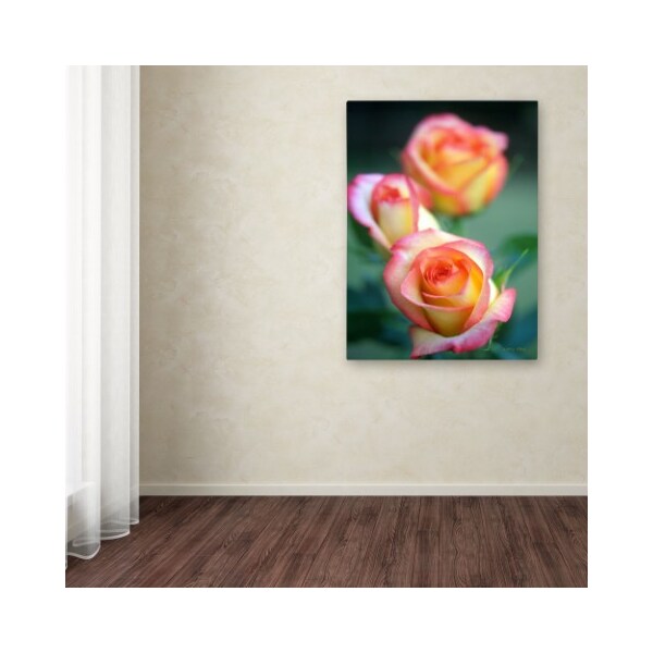 Trademark Fine Art Kathy Yates 'Rose Trio' Canvas Art, 30x47 - KY0039-C3047GG