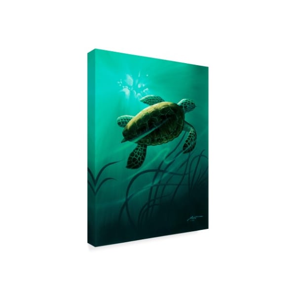 Trademark Fine Art D. Rusty Rust 'Green Sea Turtle ' Canvas Art, 14x19 - ALI25933-C1419GG