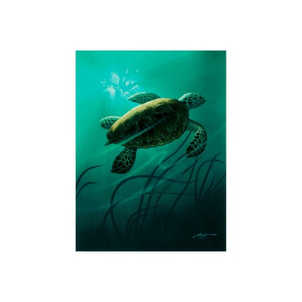 Trademark Fine Art D. Rusty Rust 'Green Sea Turtle ' Canvas Art, 14x19 - ALI25933-C1419GG