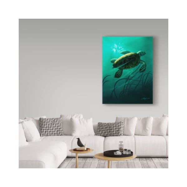 Trademark Fine Art D. Rusty Rust 'Green Sea Turtle ' Canvas Art, 14x19 - ALI25933-C1419GG