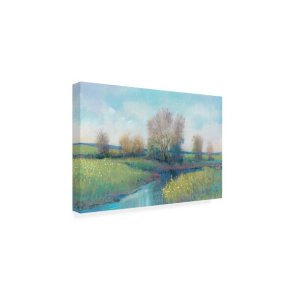 Trademark Fine Art Tim OToole 'Hidden Stream I' Canvas Art, 12x19 - WAG14479-C1219GG