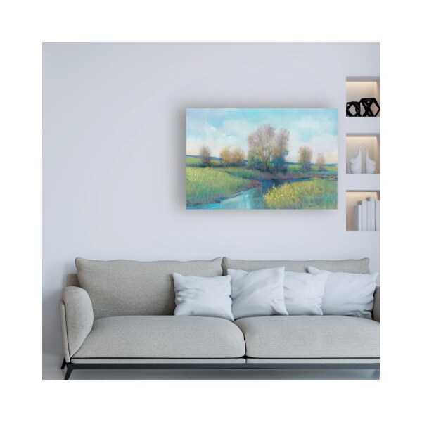 Trademark Fine Art Tim OToole 'Hidden Stream I' Canvas Art, 12x19 - WAG14479-C1219GG