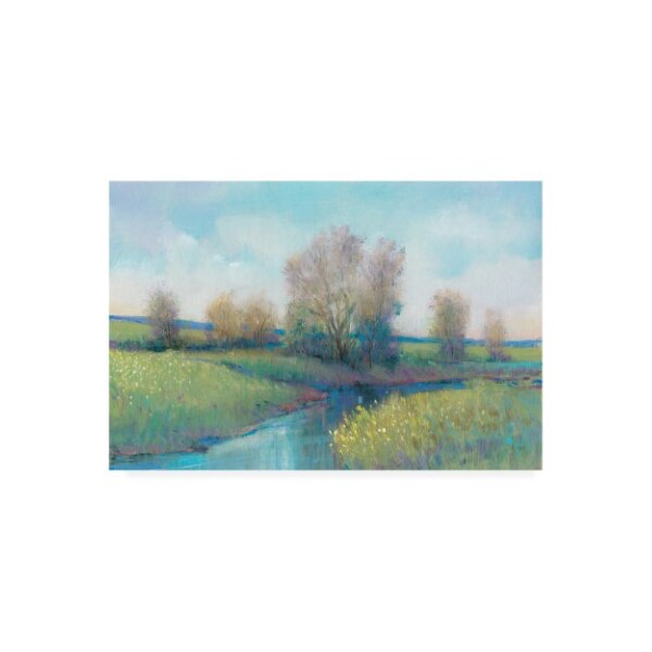 Trademark Fine Art Tim OToole 'Hidden Stream I' Canvas Art, 12x19 - WAG14479-C1219GG