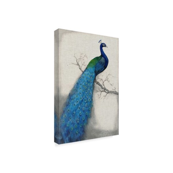 Trademark Fine Art Tim Otoole 'Peacock Blue I' Canvas Art, 12x19 - WAG00347-C1219GG