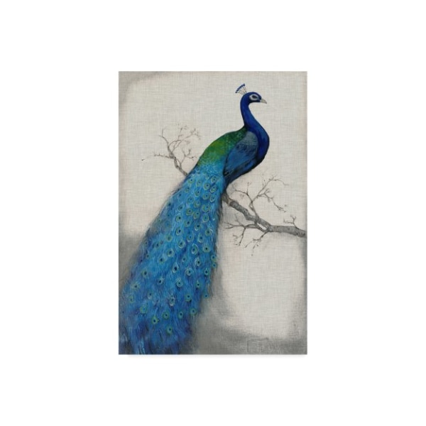 Trademark Fine Art Tim Otoole 'Peacock Blue I' Canvas Art, 12x19 - WAG00347-C1219GG
