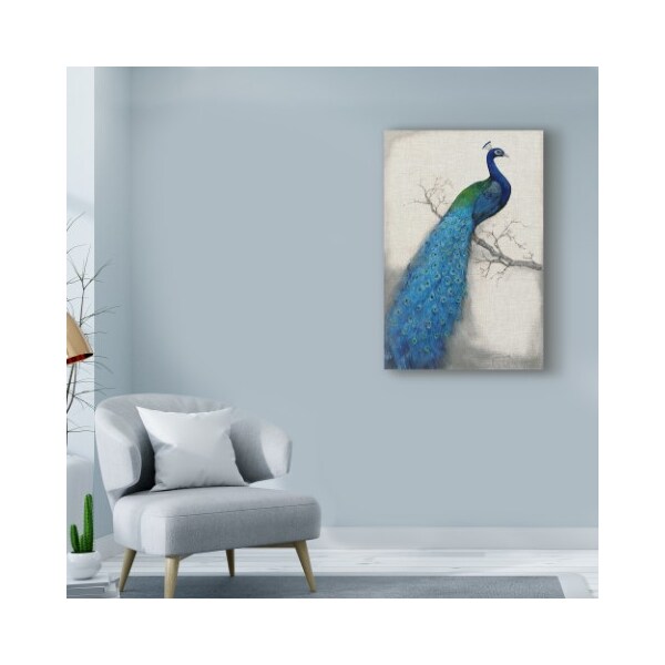 Trademark Fine Art Tim Otoole 'Peacock Blue I' Canvas Art, 12x19 - WAG00347-C1219GG