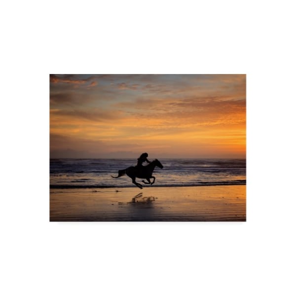 Trademark Fine Art PHBurchett 'Sunkissed Horses IV' Canvas Art, 35x47 - WAG14629-C3547GG