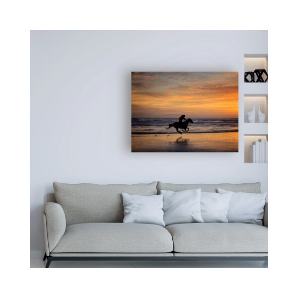 Trademark Fine Art PHBurchett 'Sunkissed Horses IV' Canvas Art, 35x47 - WAG14629-C3547GG