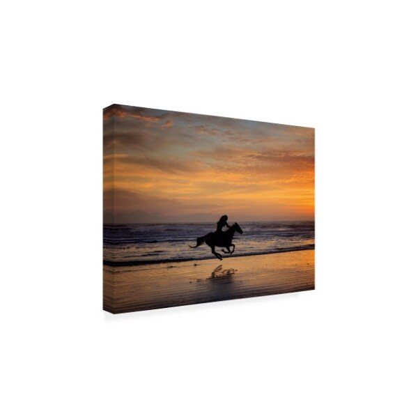 Trademark Fine Art PHBurchett 'Sunkissed Horses IV' Canvas Art, 35x47 - WAG14629-C3547GG